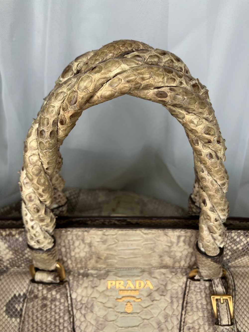 Python Pitone Satchel - Picture 4 of 16